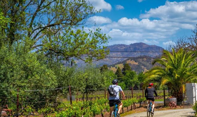 1231 Stevenson St, Calistoga, CA 94515