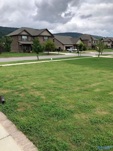 4309 Adventura Drive, Owens Cross Roads, AL 35763