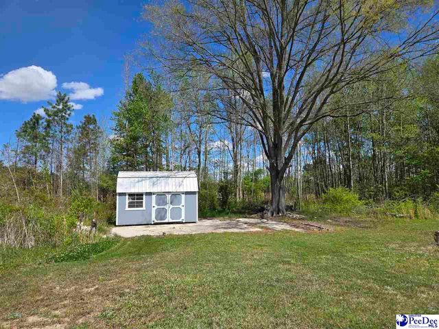 1559 Back Swamp Rd, Lynchburg, SC 29080