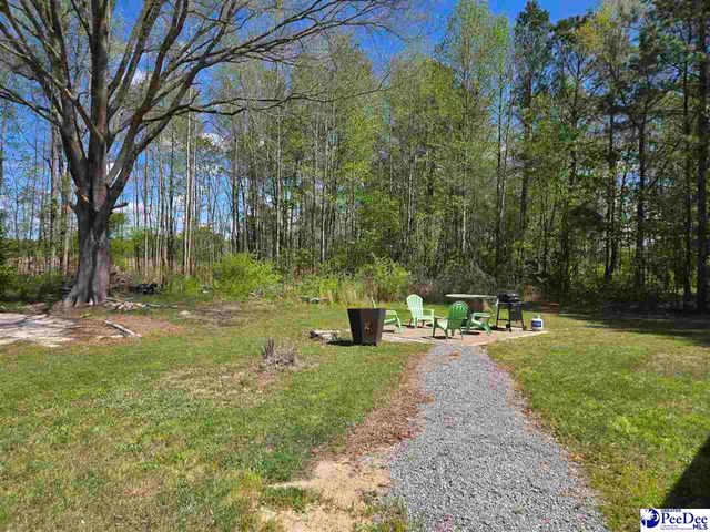 1559 Back Swamp Rd, Lynchburg, SC 29080