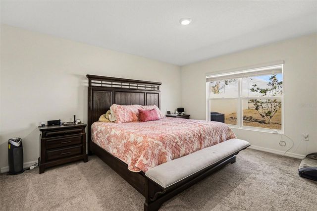 16726 CARLTON POND STREET, Wimauma, FL 33598