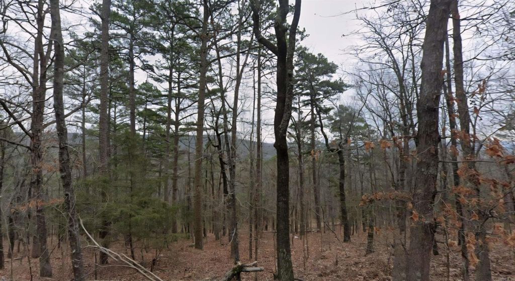Lot 23-24 Chelsea Court, Fairfield Bay, AR 72088