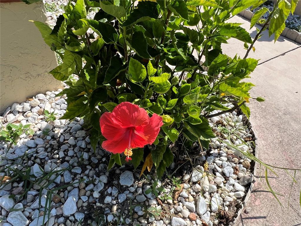 Image 3 of property listing at 19358 EDGEWATER DRIVE, Port Charlotte, FL 33948