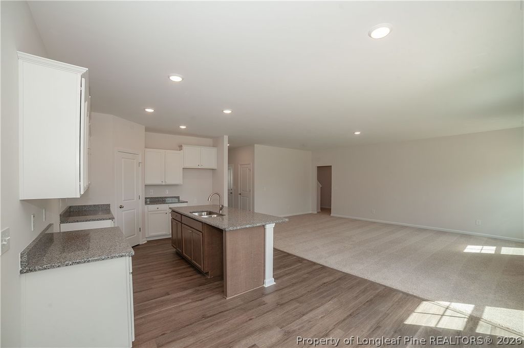 173 Jones Creek Lane, Lillington, NC 27546 — photo 11