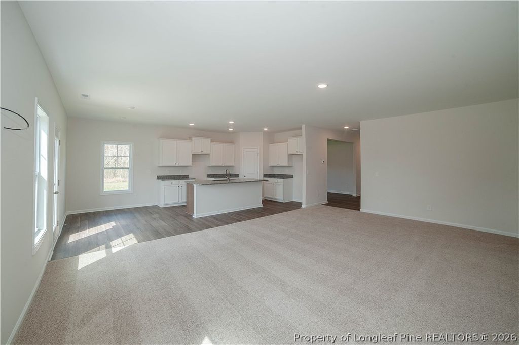 173 Jones Creek Lane, Lillington, NC 27546 — photo 7