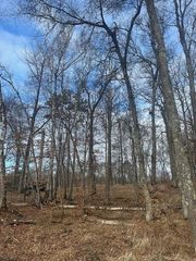 L1B1 Shady Lane, Crosslake, MN 56442