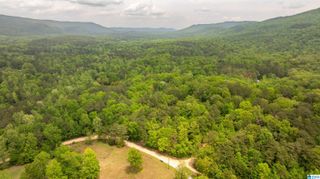 419 CROSS CREEK DRIVE, Sterrett, AL 35243