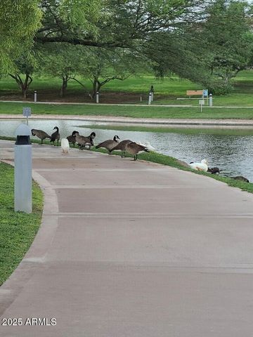 17132 E HILLCREST Drive, Fountain Hills, AZ 85268