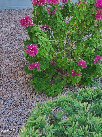 17132 E HILLCREST Drive, Fountain Hills, AZ 85268