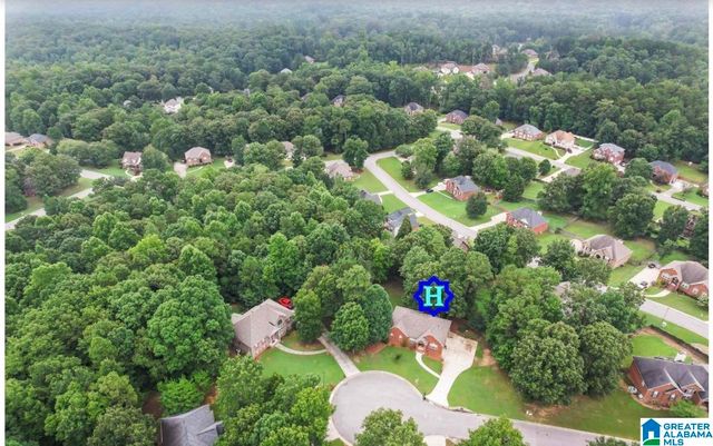 107 MAGNOLIA RIDGE CIRCLE, Chelsea, AL 35043