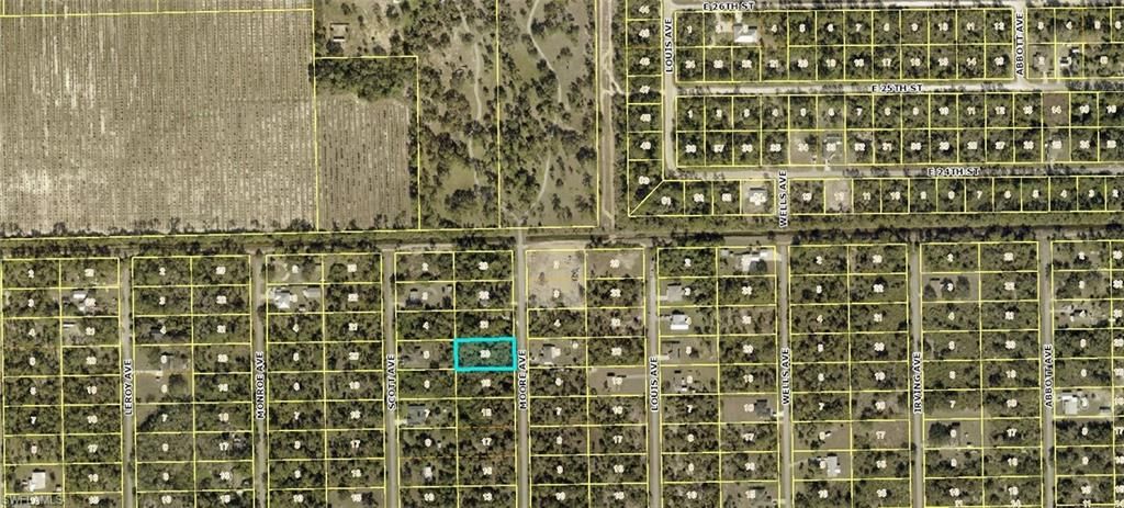 2315 Moore AVE, ALVA, FL 33920 — photo 3