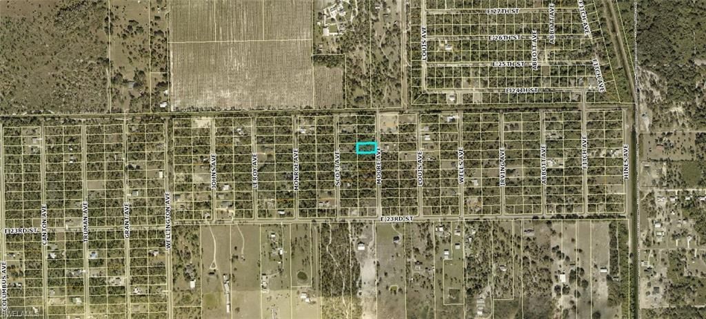 2315 Moore AVE, ALVA, FL 33920 — photo 4