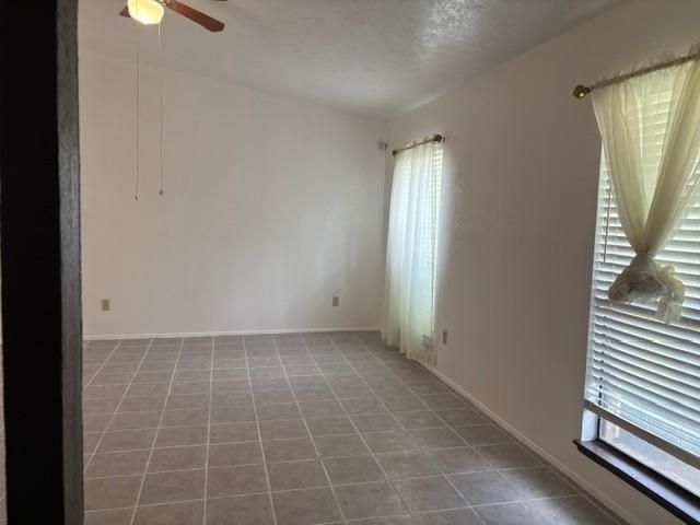 14667 Lourdes Drive, Houston, TX 77049