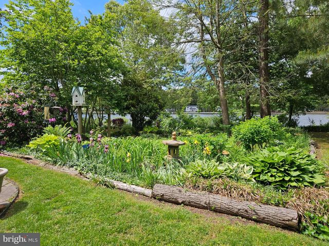 15 PINEWATER DR, Harbeson, DE 19951