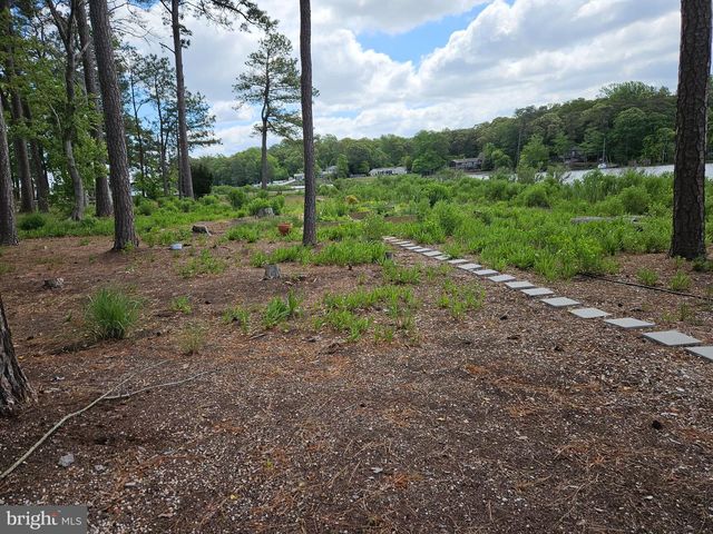 15 PINEWATER DR, Harbeson, DE 19951