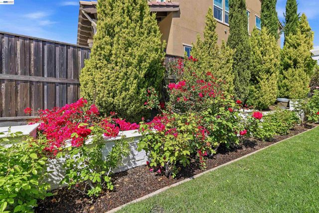 103 Camelia Ct, San Ramon, CA 94582