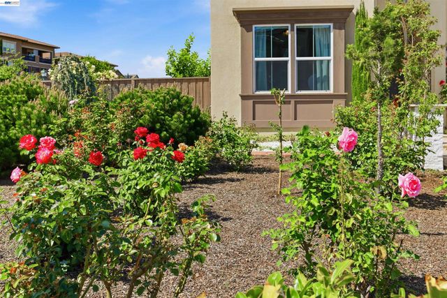 103 Camelia Ct, San Ramon, CA 94582