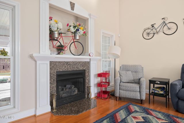 484 Wyndham Drive, Gray, TN 37615