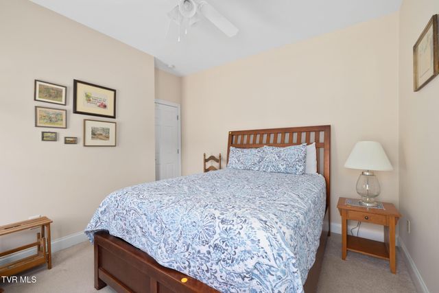 484 Wyndham Drive, Gray, TN 37615