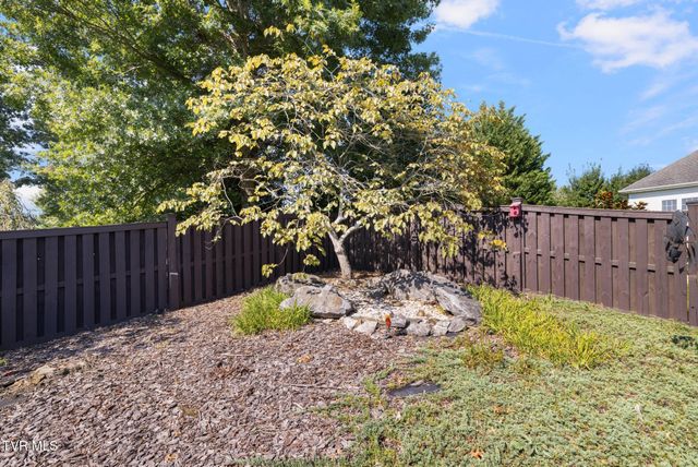 484 Wyndham Drive, Gray, TN 37615