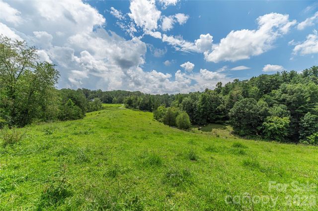 99999 Little Bo Lane, Leicester, NC 28748