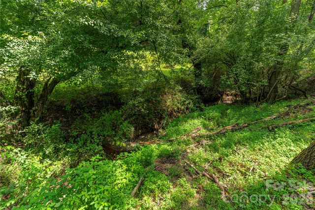 99999 Little Bo Lane, Leicester, NC 28748