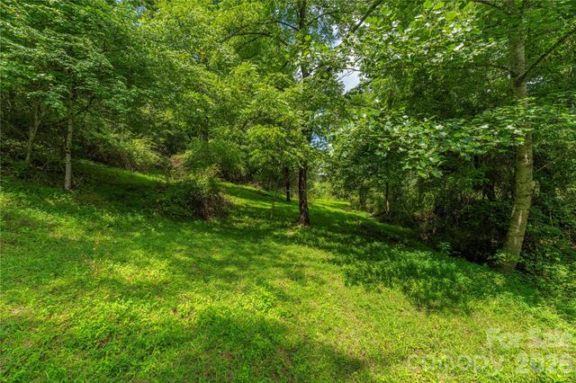 99999 Little Bo Lane, Leicester, NC 28748