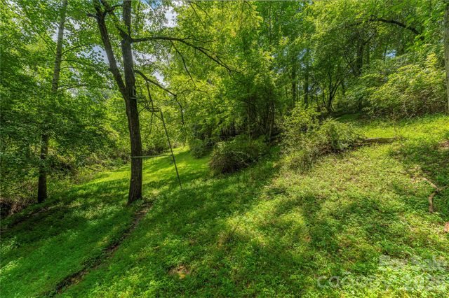 99999 Little Bo Lane, Leicester, NC 28748
