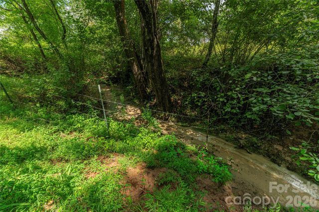 99999 Little Bo Lane, Leicester, NC 28748