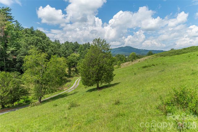 99999 Little Bo Lane, Leicester, NC 28748