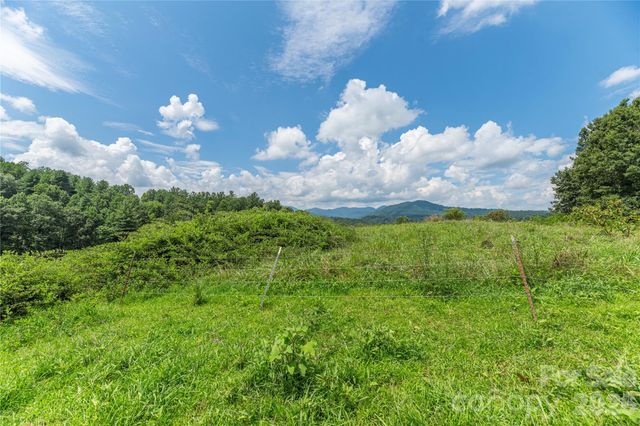 99999 Little Bo Lane, Leicester, NC 28748