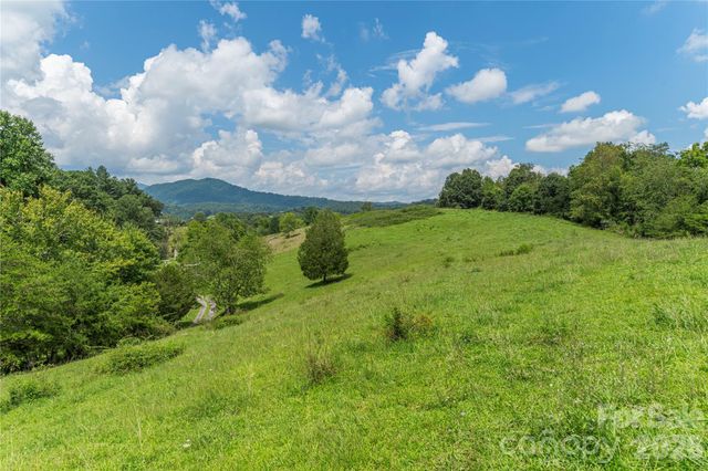 99999 Little Bo Lane, Leicester, NC 28748