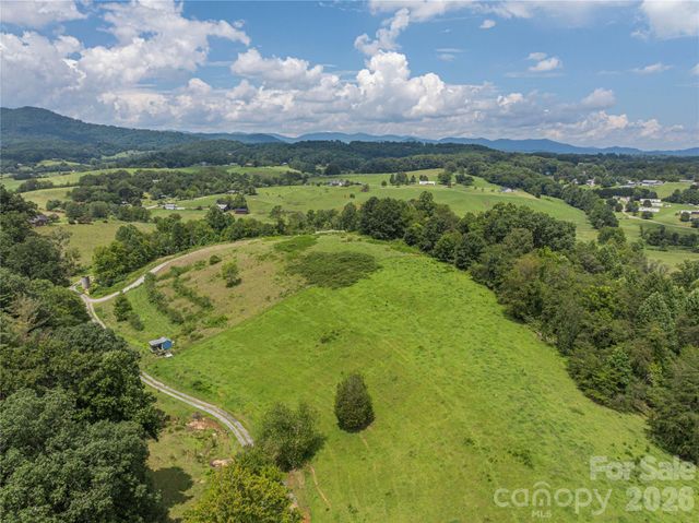 99999 Little Bo Lane, Leicester, NC 28748