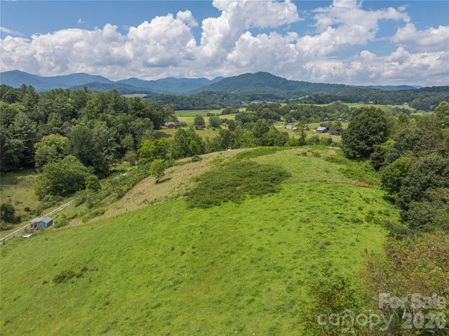 99999 Little Bo Lane, Leicester, NC 28748