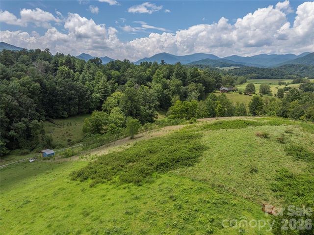 99999 Little Bo Lane, Leicester, NC 28748