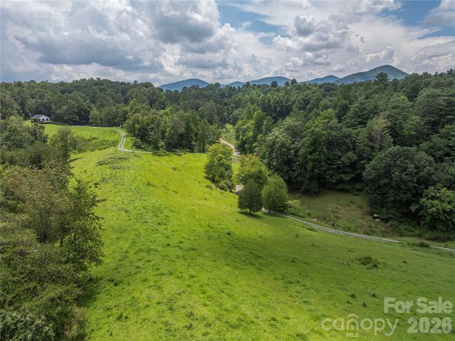 99999 Little Bo Lane, Leicester, NC 28748