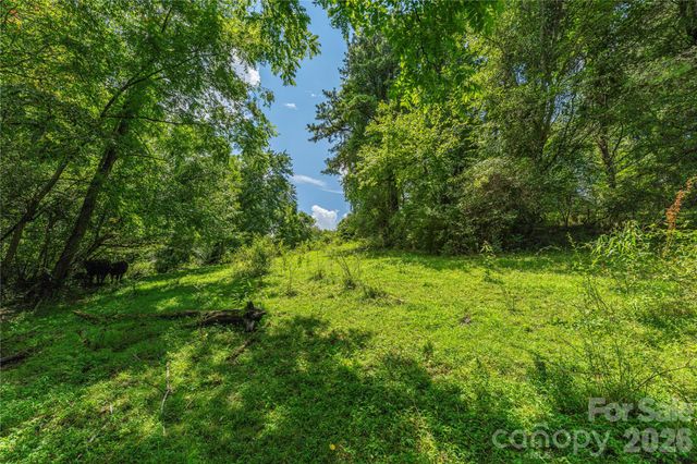 99999 Little Bo Lane, Leicester, NC 28748