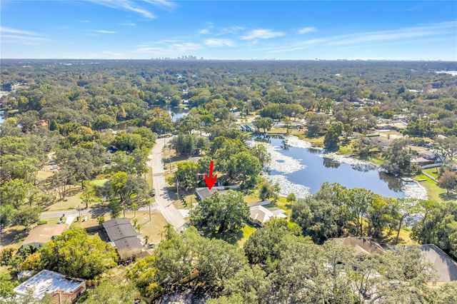 13216 FOREST HILLS DRIVE, Tampa, FL 33612