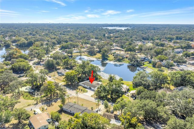 13216 FOREST HILLS DRIVE, Tampa, FL 33612