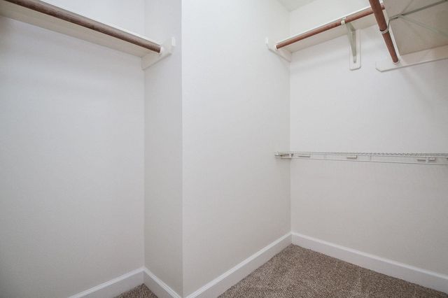 202 Knoll Forest Drive, Sugar Land, TX 77479