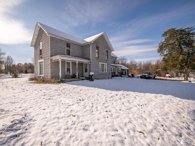 8180 Summerfield Road, Summerfield Twp, MI 49270