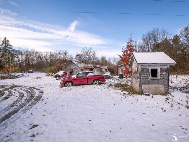 8180 Summerfield Road, Summerfield Twp, MI 49270