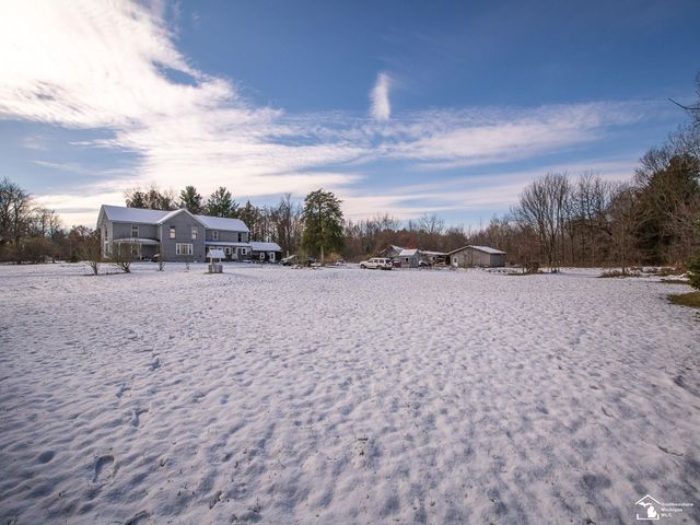 8180 Summerfield Road, Summerfield Twp, MI 49270