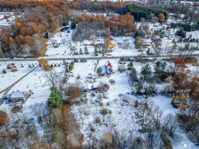 8180 Summerfield Road, Summerfield Twp, MI 49270