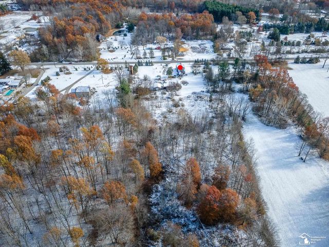 8180 Summerfield Road, Summerfield Twp, MI 49270