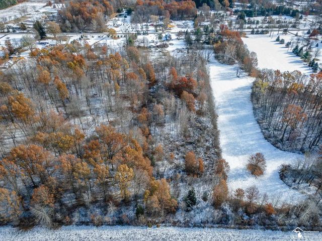 8180 Summerfield Road, Summerfield Twp, MI 49270