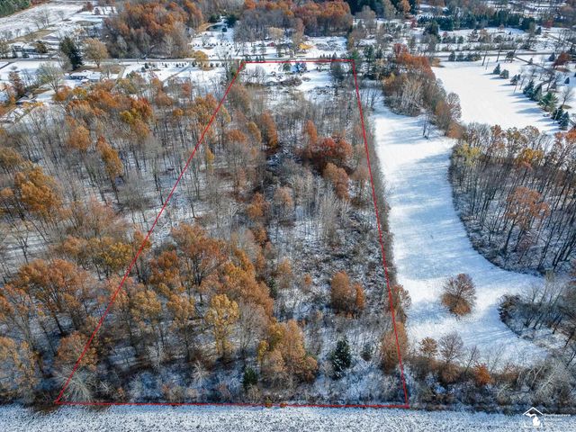 8180 Summerfield Road, Summerfield Twp, MI 49270