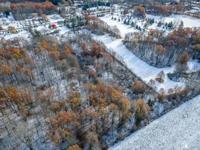 8180 Summerfield Road, Summerfield Twp, MI 49270