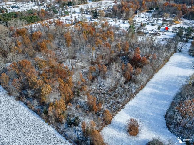 8180 Summerfield Road, Summerfield Twp, MI 49270