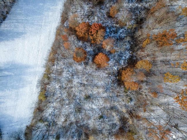 8180 Summerfield Road, Summerfield Twp, MI 49270